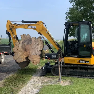 tree removal