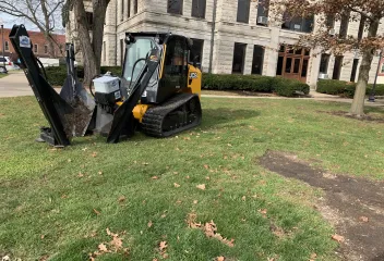 lawn