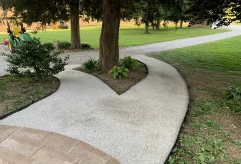 pavement and trees