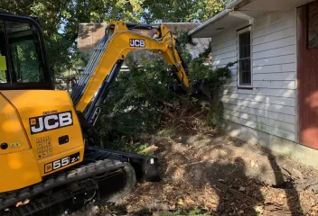 tree removal