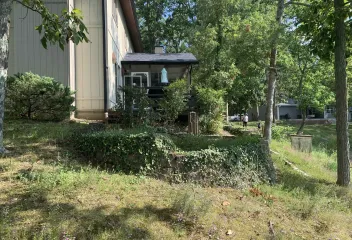 before pic lawn care