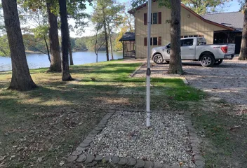 trees and house