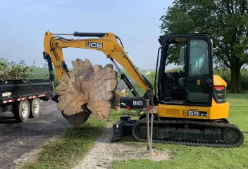 tree stump removal