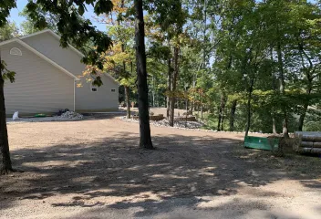 trees