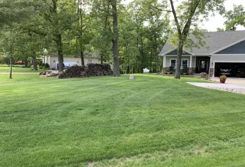 grass before pic with spotting