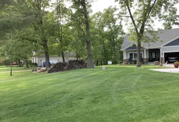 fresh green grass
