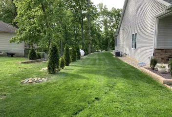 full and grass before pic with missing spots