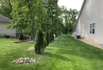 full yard and green grass