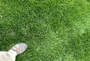 foot in grass