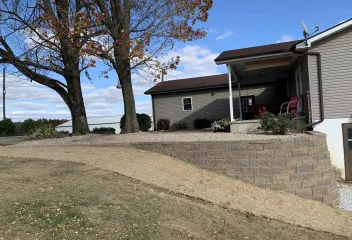 pavement and trees